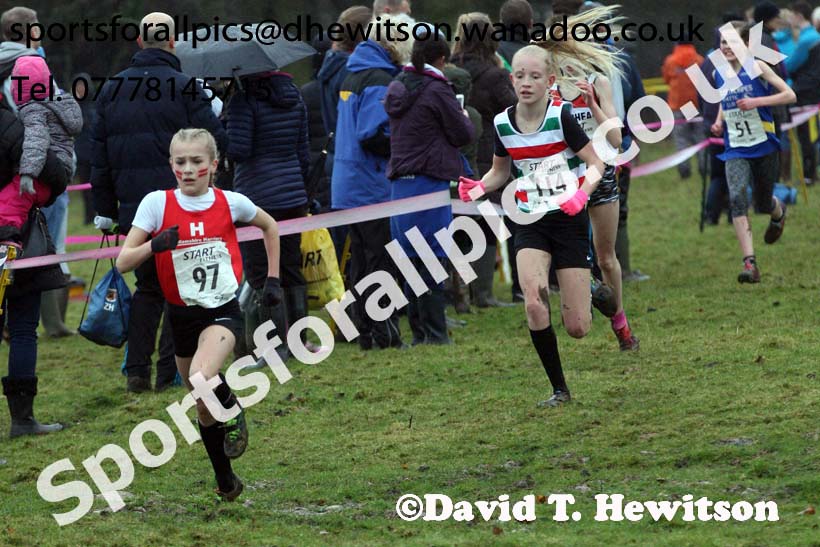 Girls under-13s  Northern Cross Country, Knowsley Safari Park. Photo: David T. Hewitson/Sports for All Pics